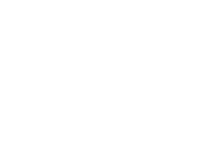 Sheranwala developers logo png